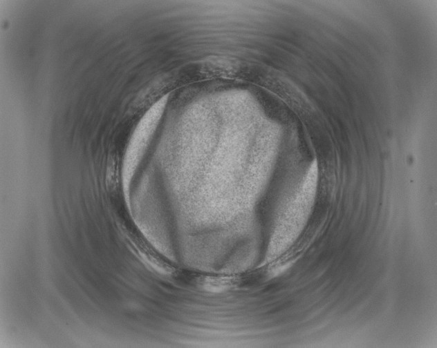 X0000081560134200702051159