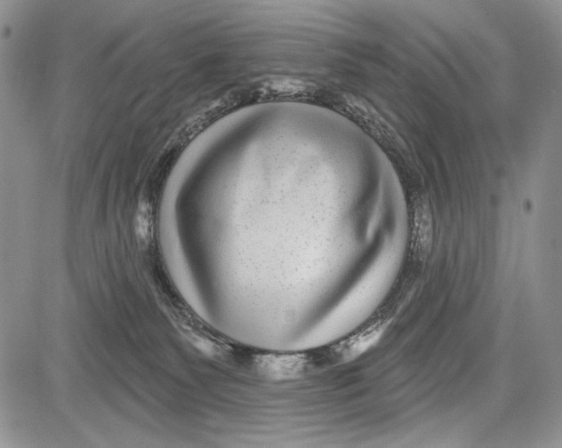 X0000081560135200702051159