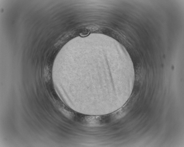 X0000081560136200702051158