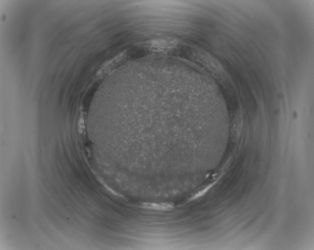 X0000081560137200702051158