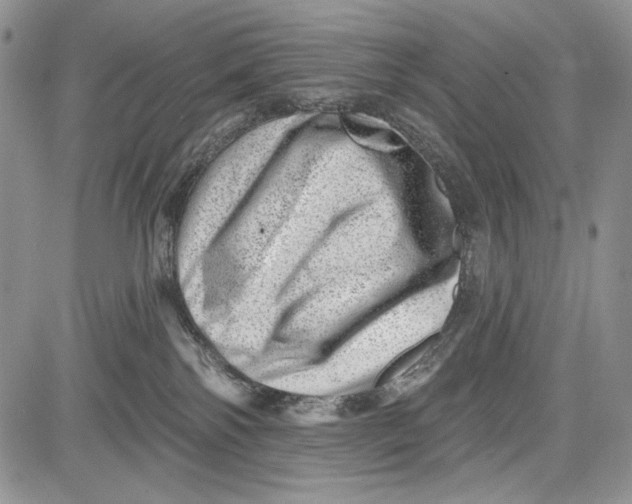 X0000081560138200702051158