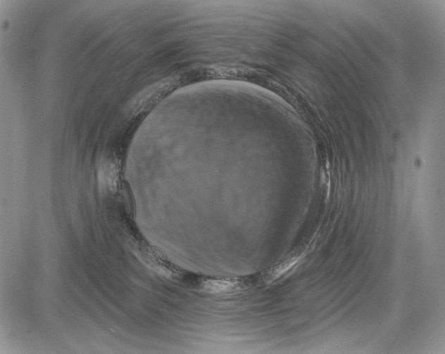 X0000081560139200702051158