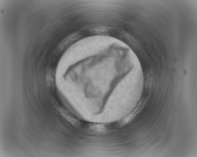 X0000081560140200702051158