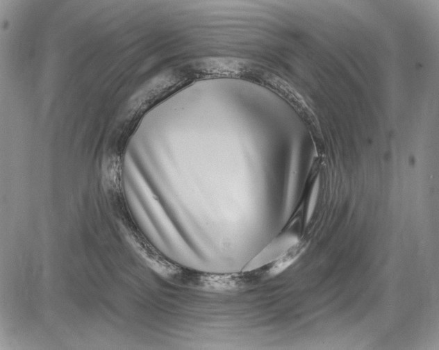 X0000081560141200702051158