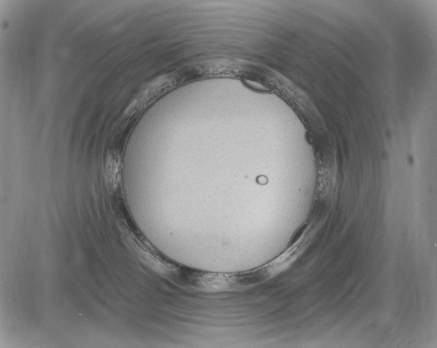 X0000081560142200702051158