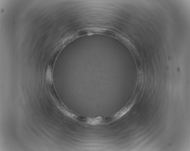 X0000081560143200702051158