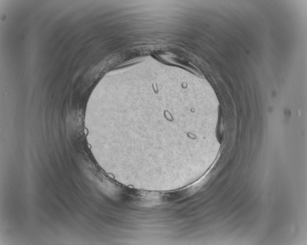 X0000081560144200702051158