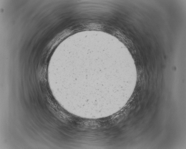 X0000081560146200702051158