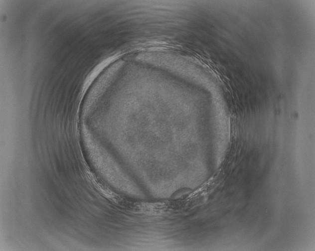 X0000081560147200702051158