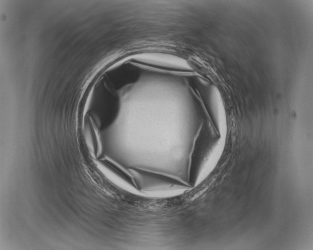 X0000081560148200702051158