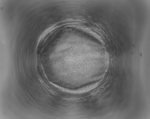 X0000081560149200702051158