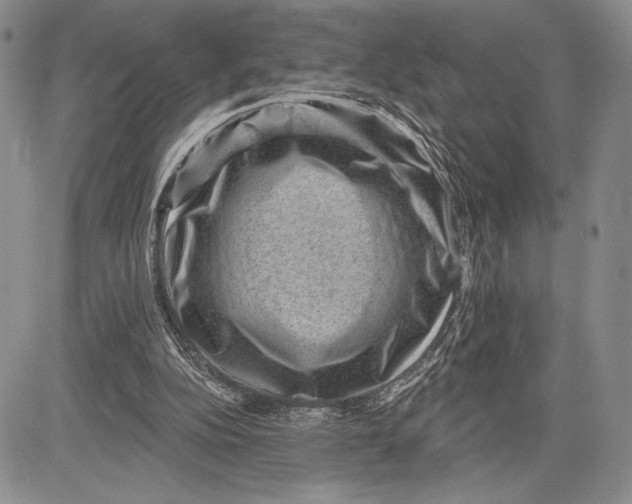 X0000081560152200702051158