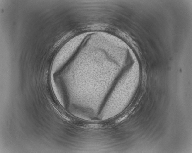 X0000081560153200702051158