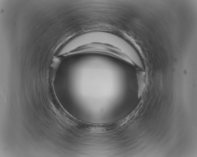 X0000081560154200702051158