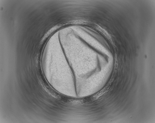 X0000081560155200702051158