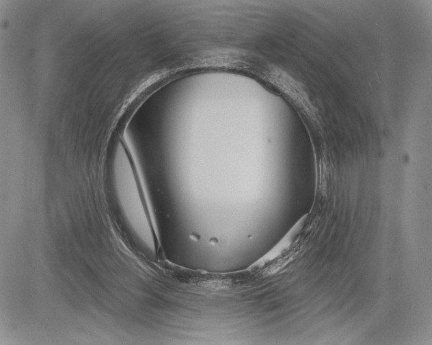 X0000081560156200702051158