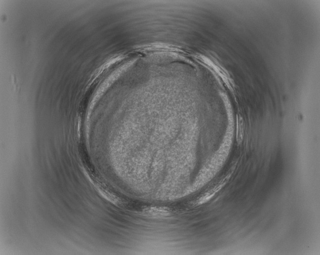 X0000081560157200702051158