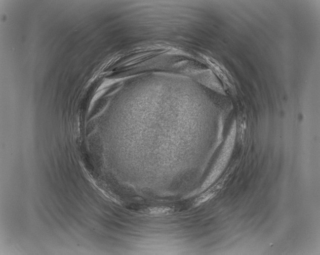 X0000081560158200702051158