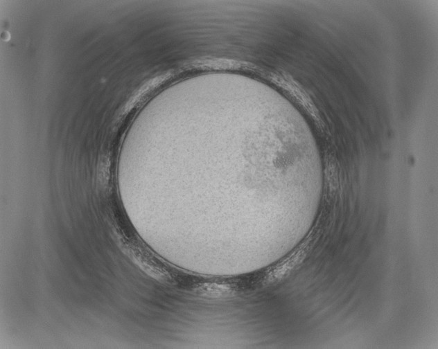 X0000081560159200702051158