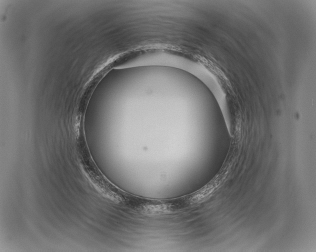 X0000081560160200702051158