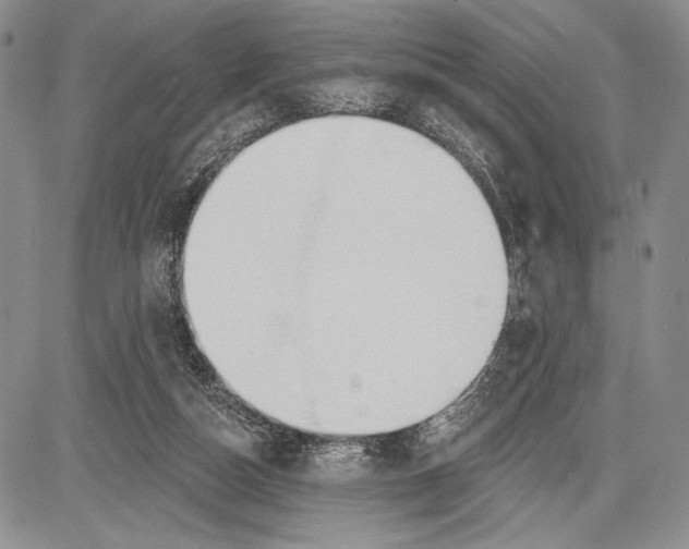 X0000081560162200702051158