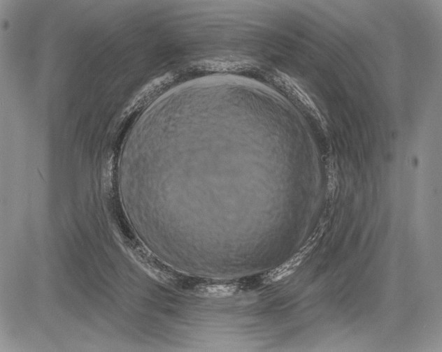 X0000081560163200702051158