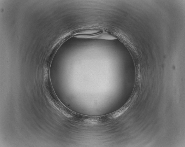 X0000081560164200702051158