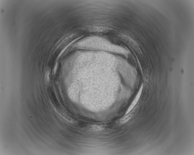 X0000081560166200702051158