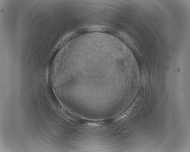 X0000081560167200702051158