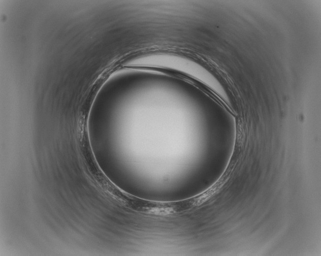 X0000081560168200702051158