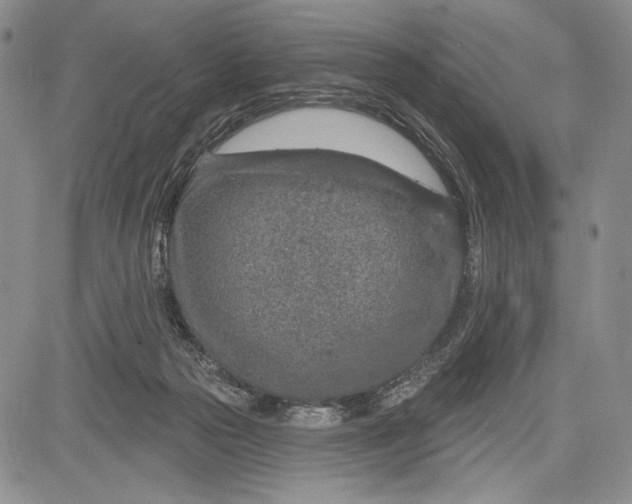 X0000081560169200702051158