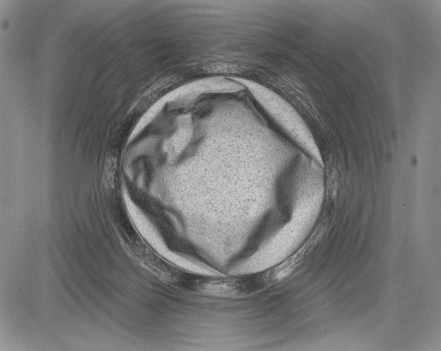 X0000081560171200702051158