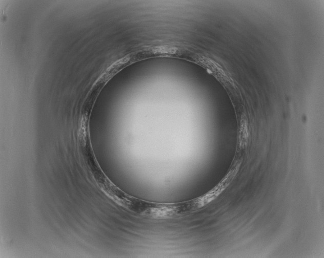 X0000081560172200702051158