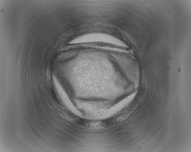 X0000081560173200702051158