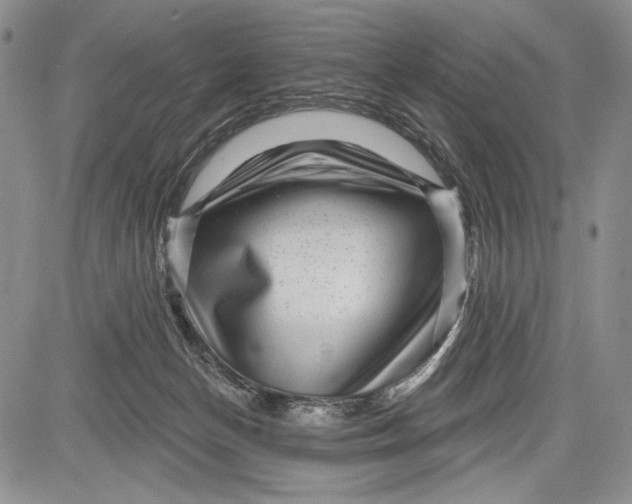 X0000081560174200702051158