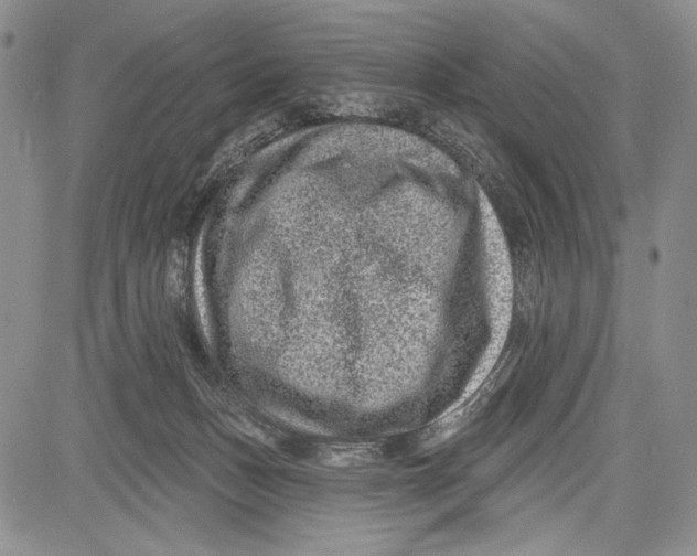 X0000081560175200702051158