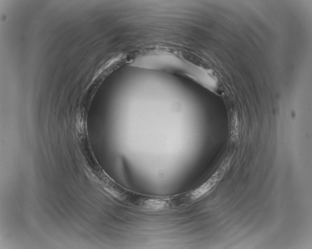 X0000081560176200702051158