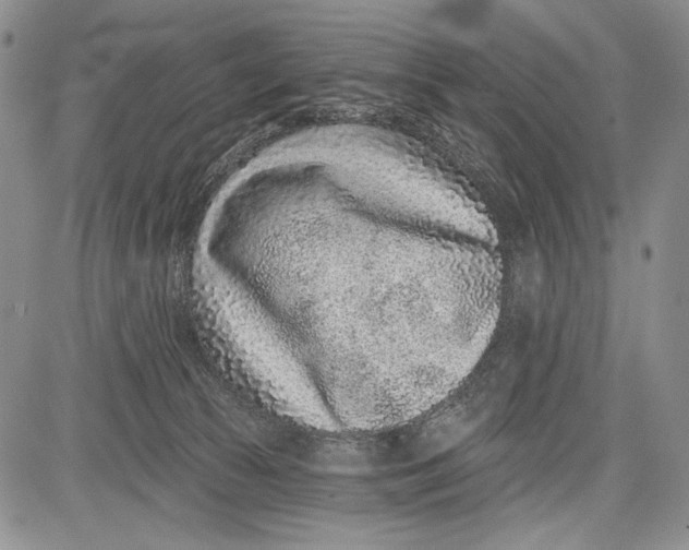 X0000081560177200702051158