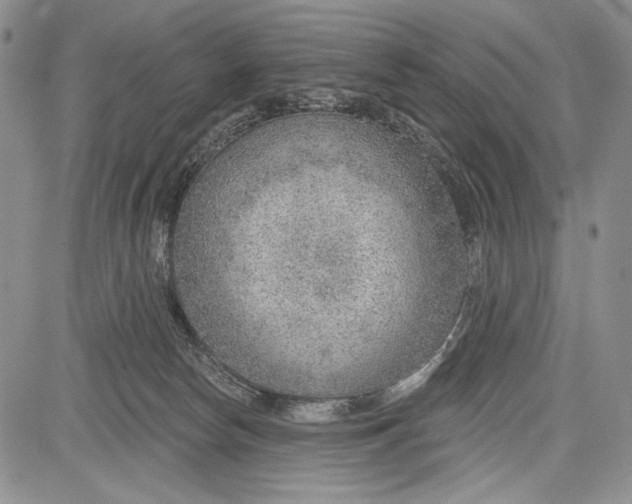 X0000081560178200702051158