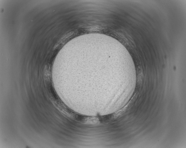 X0000081560179200702051158