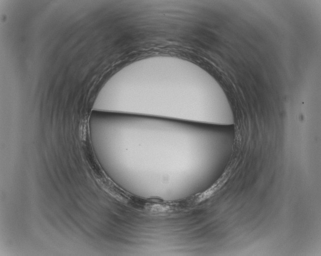 X0000081560180200702051158