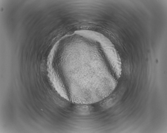 X0000081560181200702051158