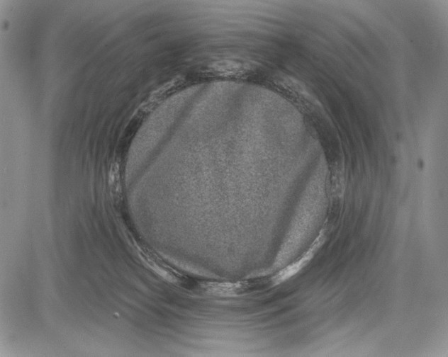 X0000081560182200702051158