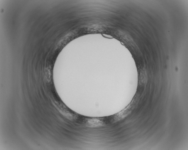 X0000081560183200702051158