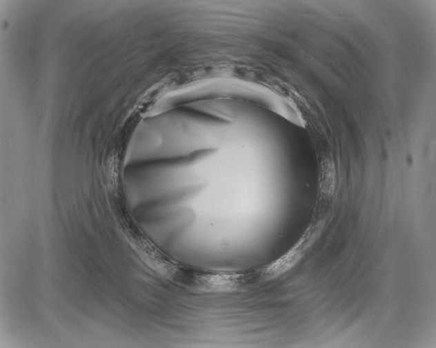 X0000081560184200702051158