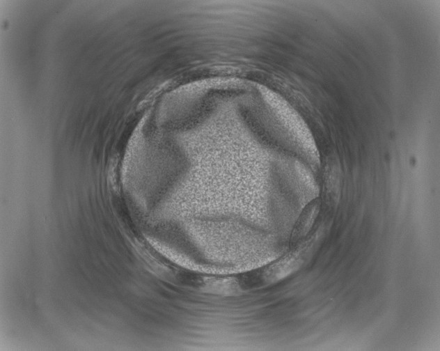 X0000081560185200702051158