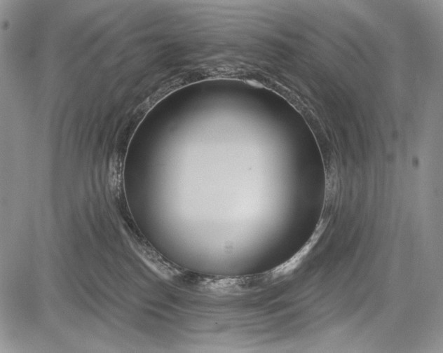 X0000081560186200702051158