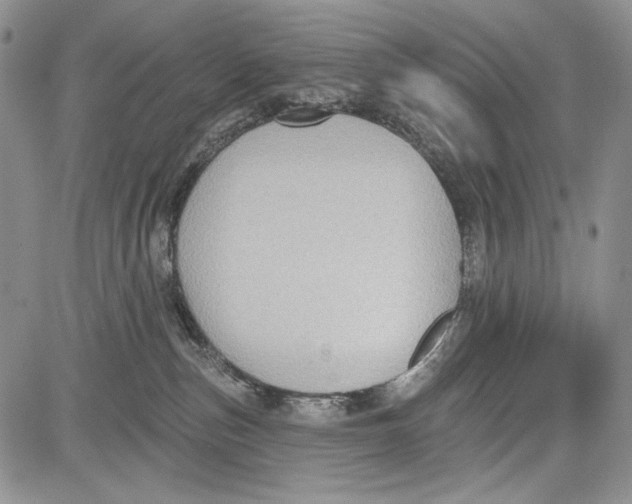 X0000081560187200702051158