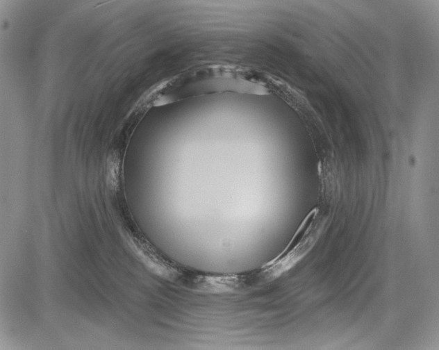 X0000081560188200702051158