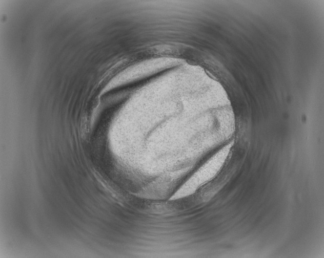 X0000081560189200702051158